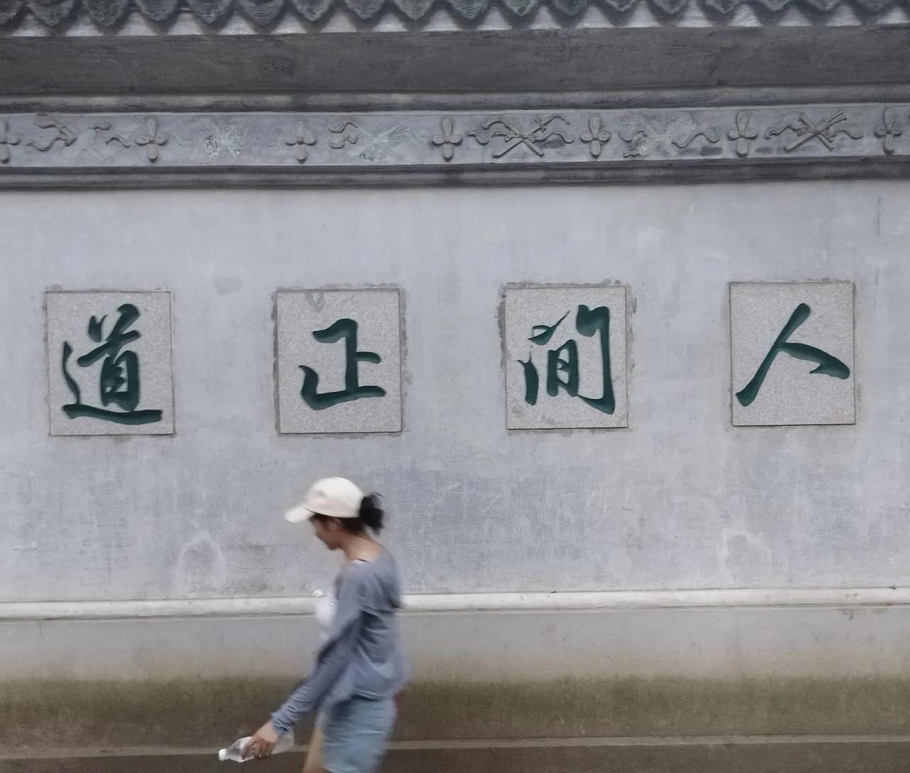 殊恶“套路贷”、披着正规金融外衣的掠夺性贷款者等金融流氓、黑恶势力及其黑灰催收团
