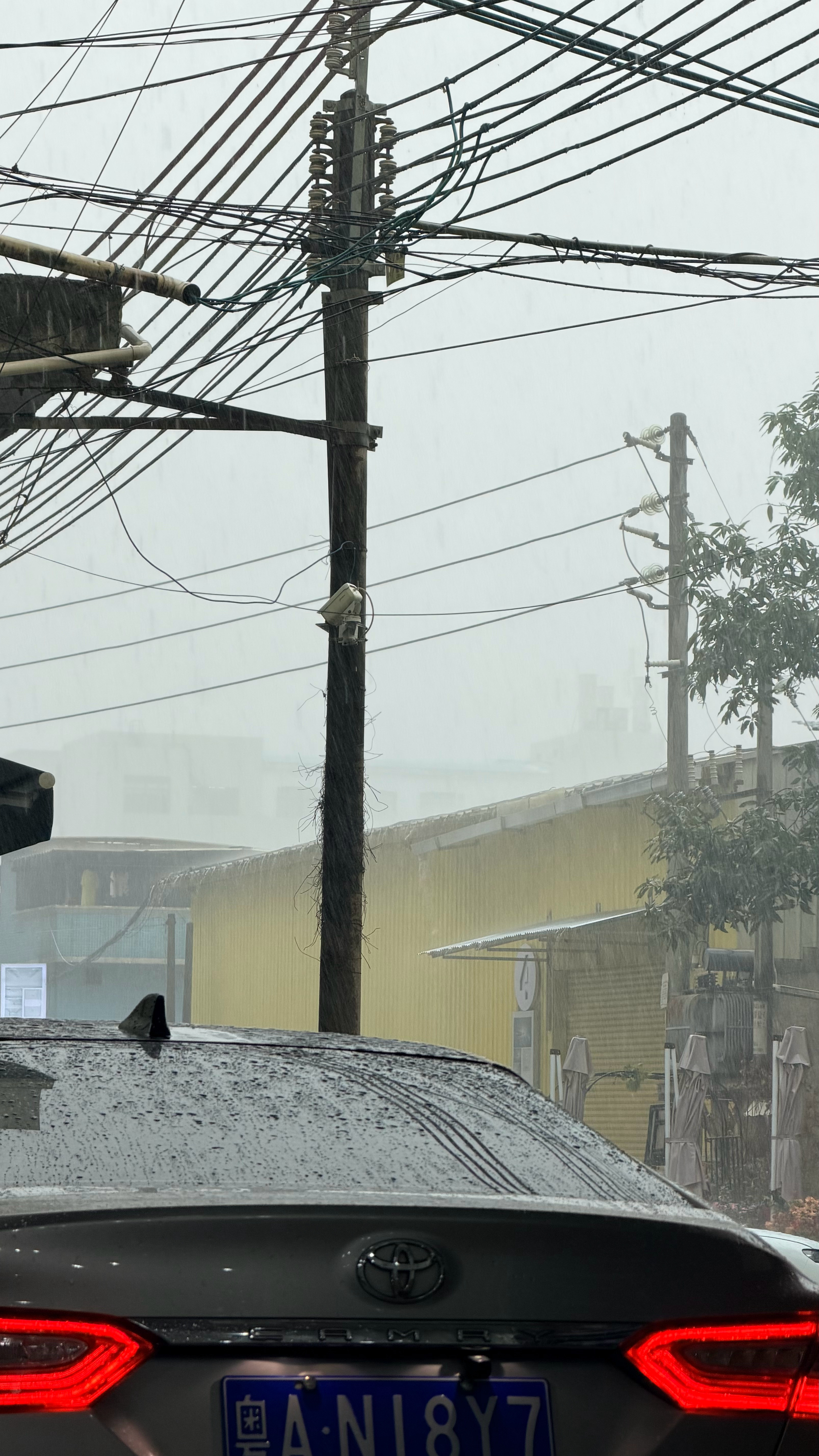 来了，回不去了 