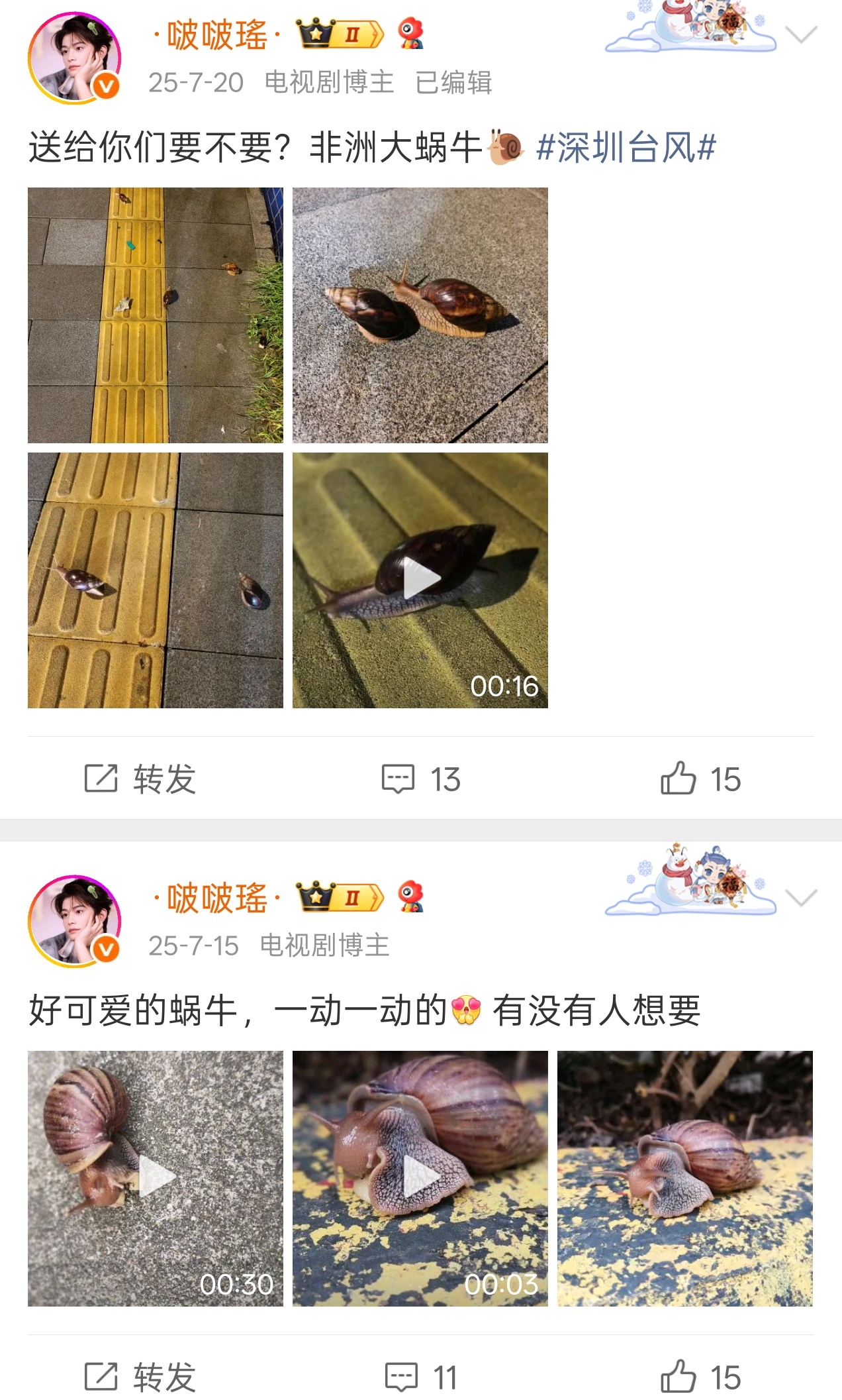 女子拍下骇人巨型蜗牛引热议我们这边蜗牛都是这么大的啊[皱眉][皱眉]你们那边不是