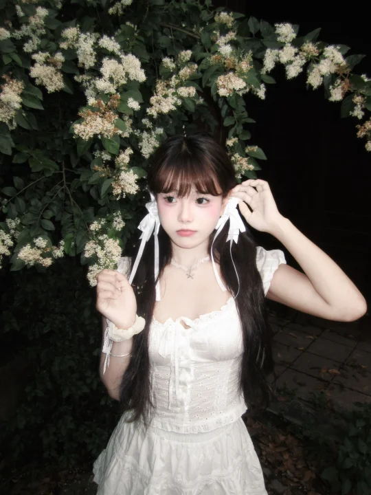 𝜗𝜚·‎˖🤍⁺₊ ⸝⸝⸝⸝ 🦢