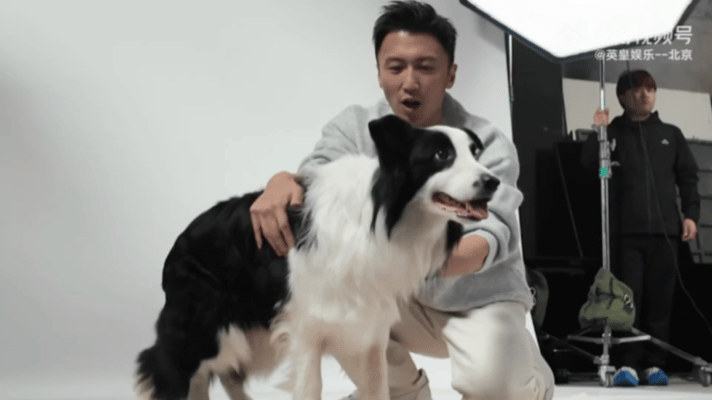 谢霆锋是那种年纪越大越有魅力的人比起年轻时的锋芒毕露，现在的他气质更复杂反而更具