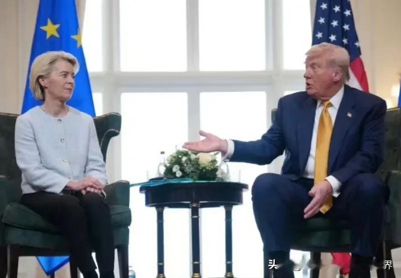 欧盟赢麻了，冯德莱恩对付美国总统还是有些办法的，硬是把30%的关税谈到了15%。