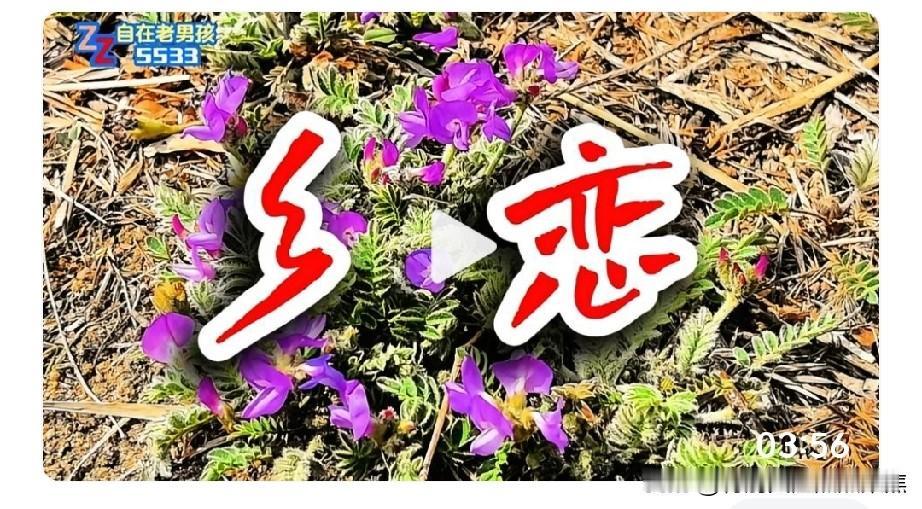 回不去的故乡，留下几多怀念和伤感!感叹人生，过去的就永远过去了，追不回来了