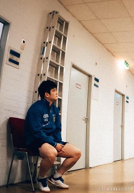 樊振东和他的队友们 