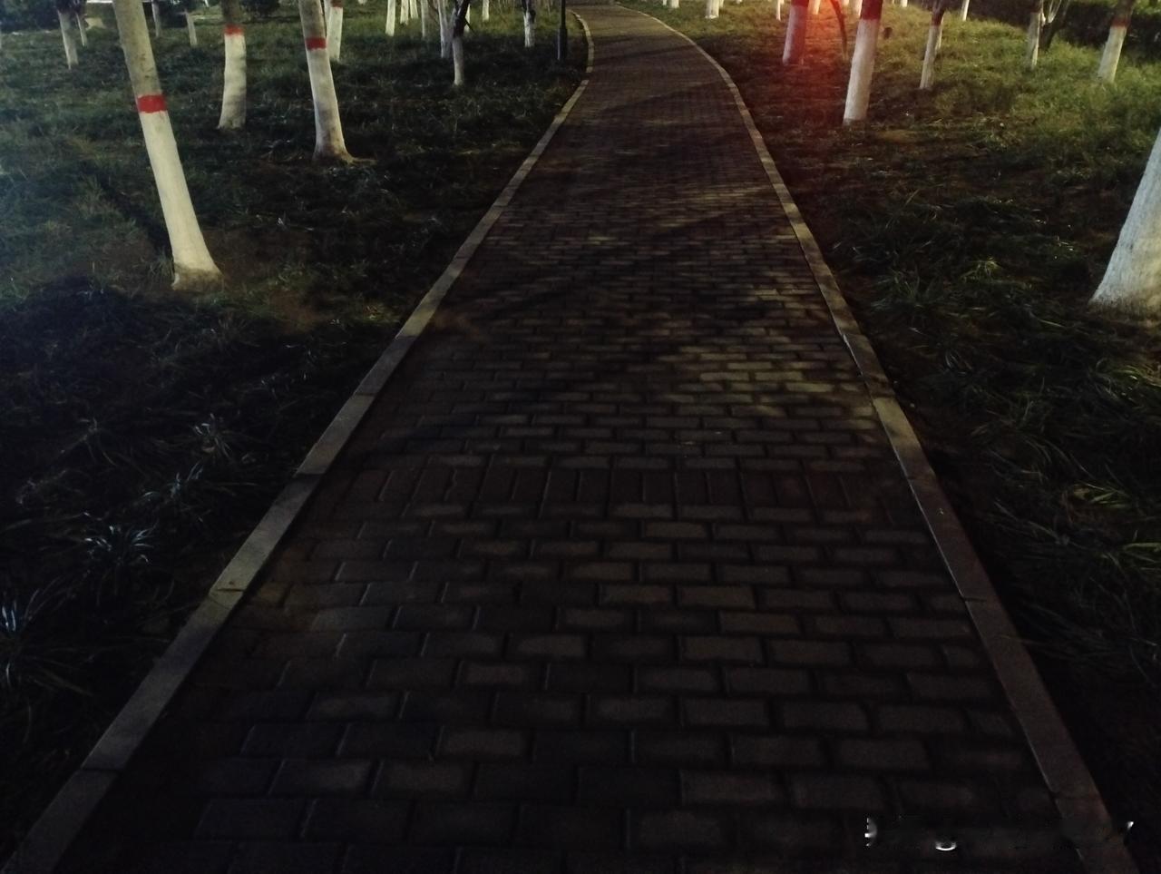 2026年第一跑，5公里！