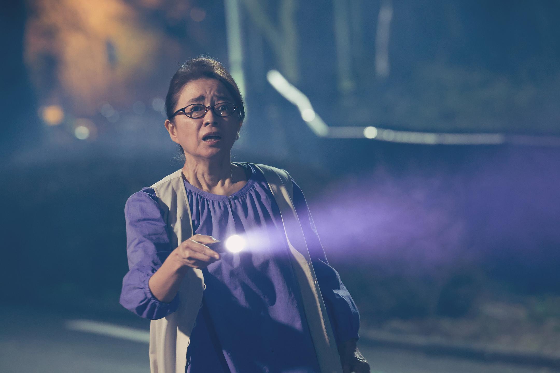 之前忘记发长泽雅美主演的《人偶之家》影评，补一下，还是比较推荐的日式恐影哒导演矢