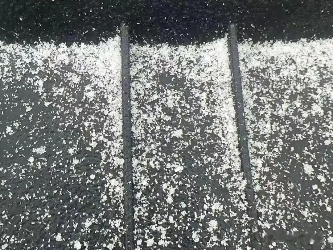 合肥下“米雪”了！



1月19日午间，合肥长丰杜集开始降下“米雪”。所谓“米