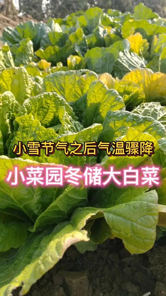 用剪映怎么做片头和片尾在剪映中制作片头和片尾很简单。打开剪映后，导入素材用于片头