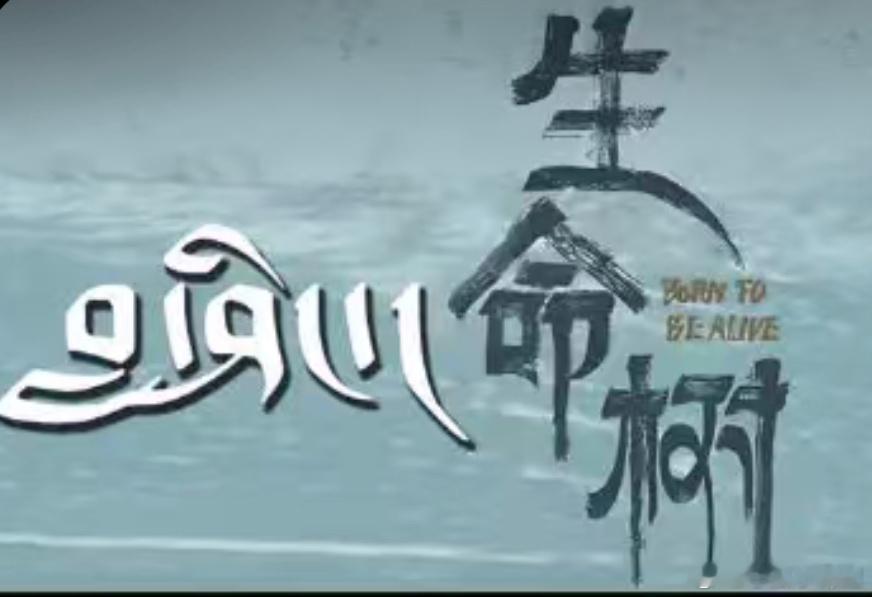 世界地球日安多卫视今日播出藏语版生命树每份守护都是最有爱的能源和守护从生命树开始