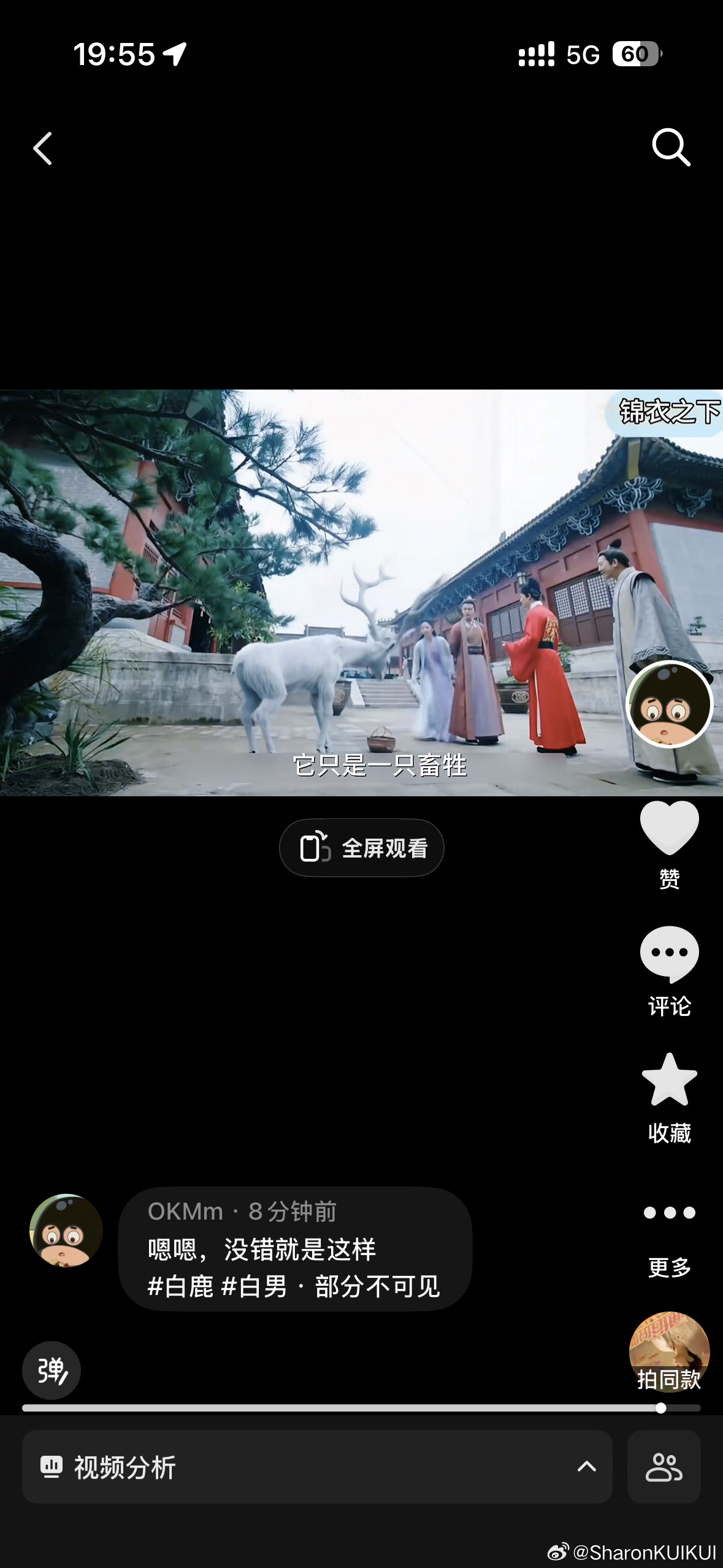 大家快来铺
