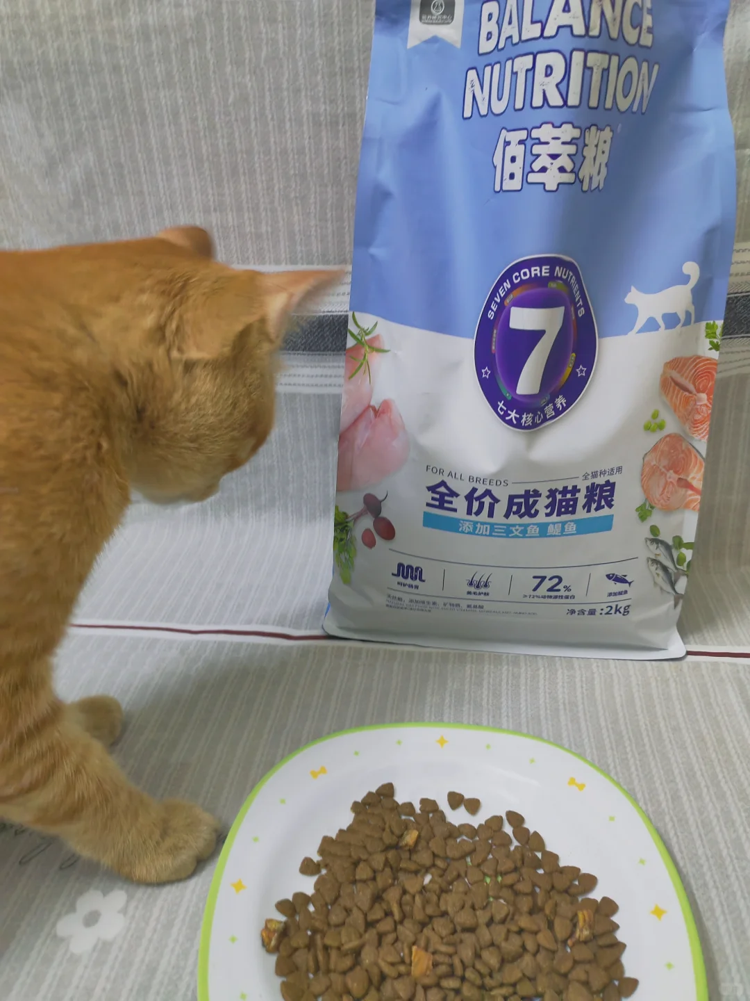 猫 ：让我瞧瞧👀