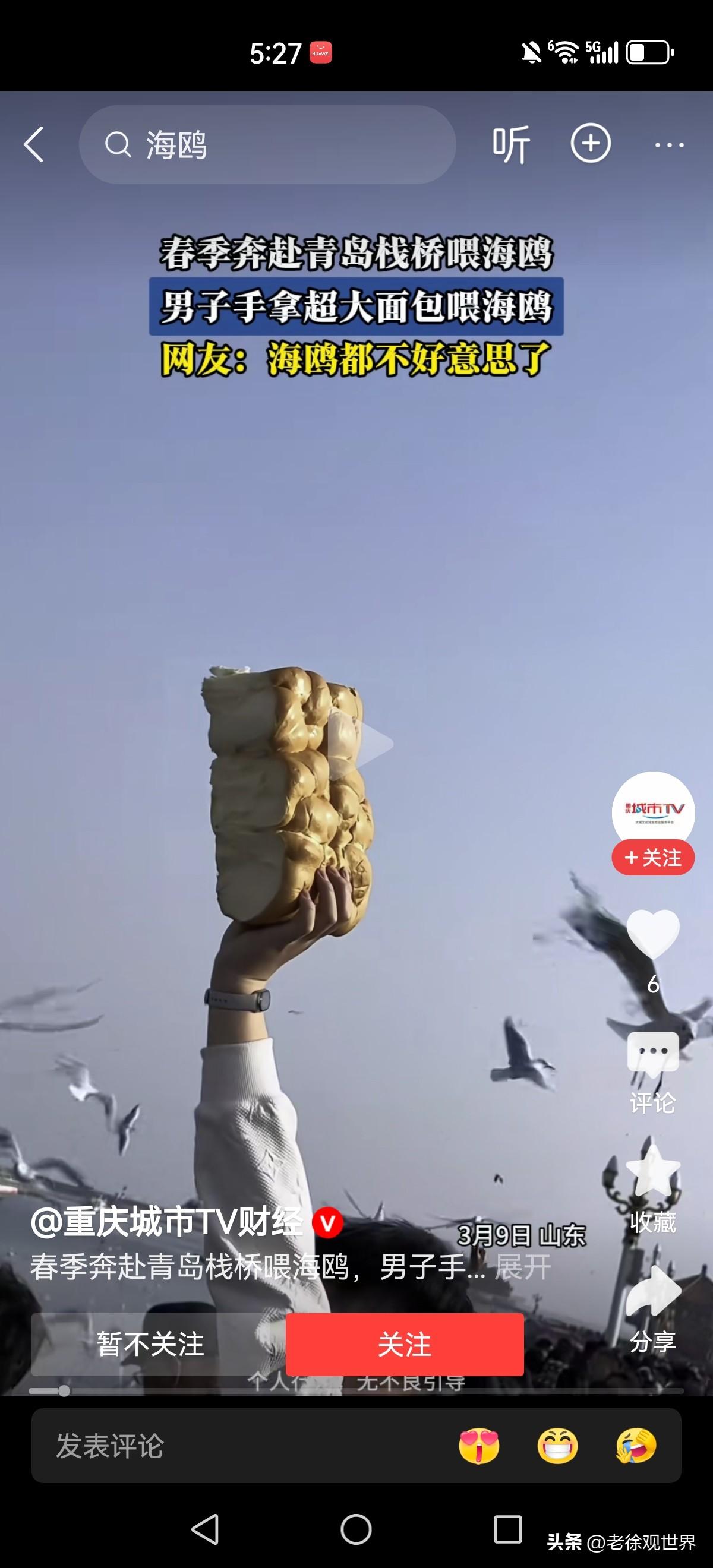 乖乖，什么是显眼包，这就是！

同样是喂海鸥，别人都是拿小块面包。你直接整个巨无