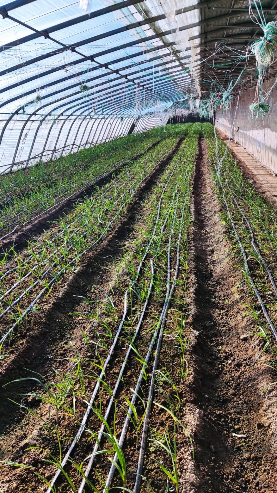 晒图笔记大赛认识不？？[呲牙]