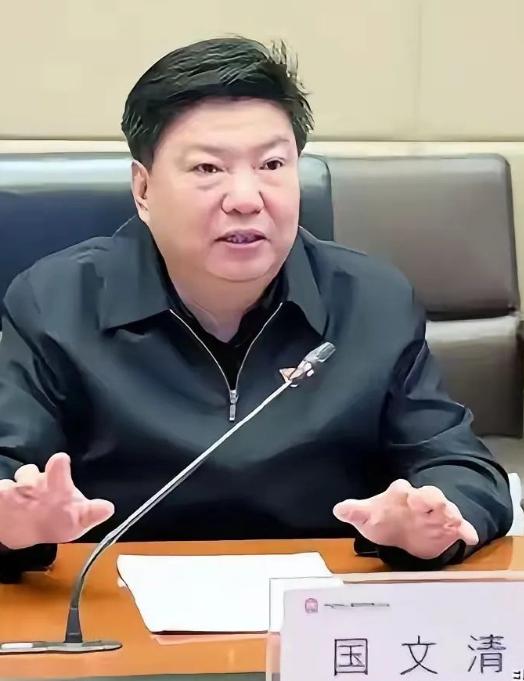 随着国文清的投案自首，现在舆论在迅速集中到他任内主导的一个项目上 —— 帮印度建