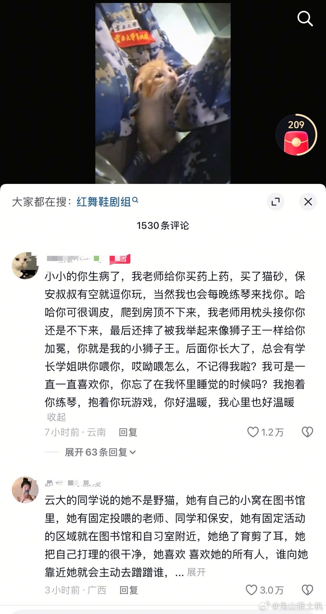 红舞鞋剧组用疏忽搪塞撞猫怎么说呢据说是把石墩子挪开去了人行道，结果最后推出来的只