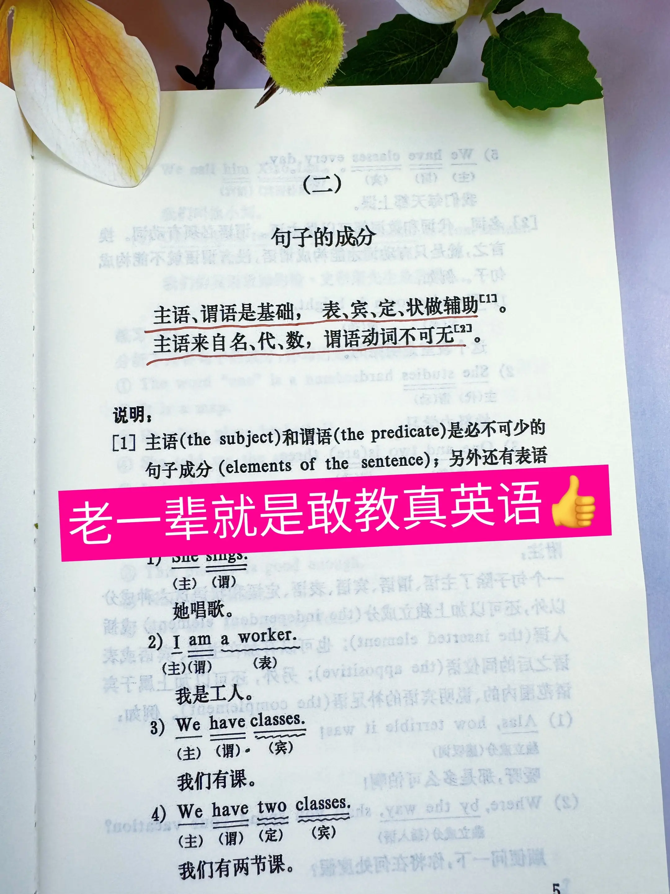 真心想打好英语基础的，这本老版教材别错过。当年80年代老教师常用的《英...