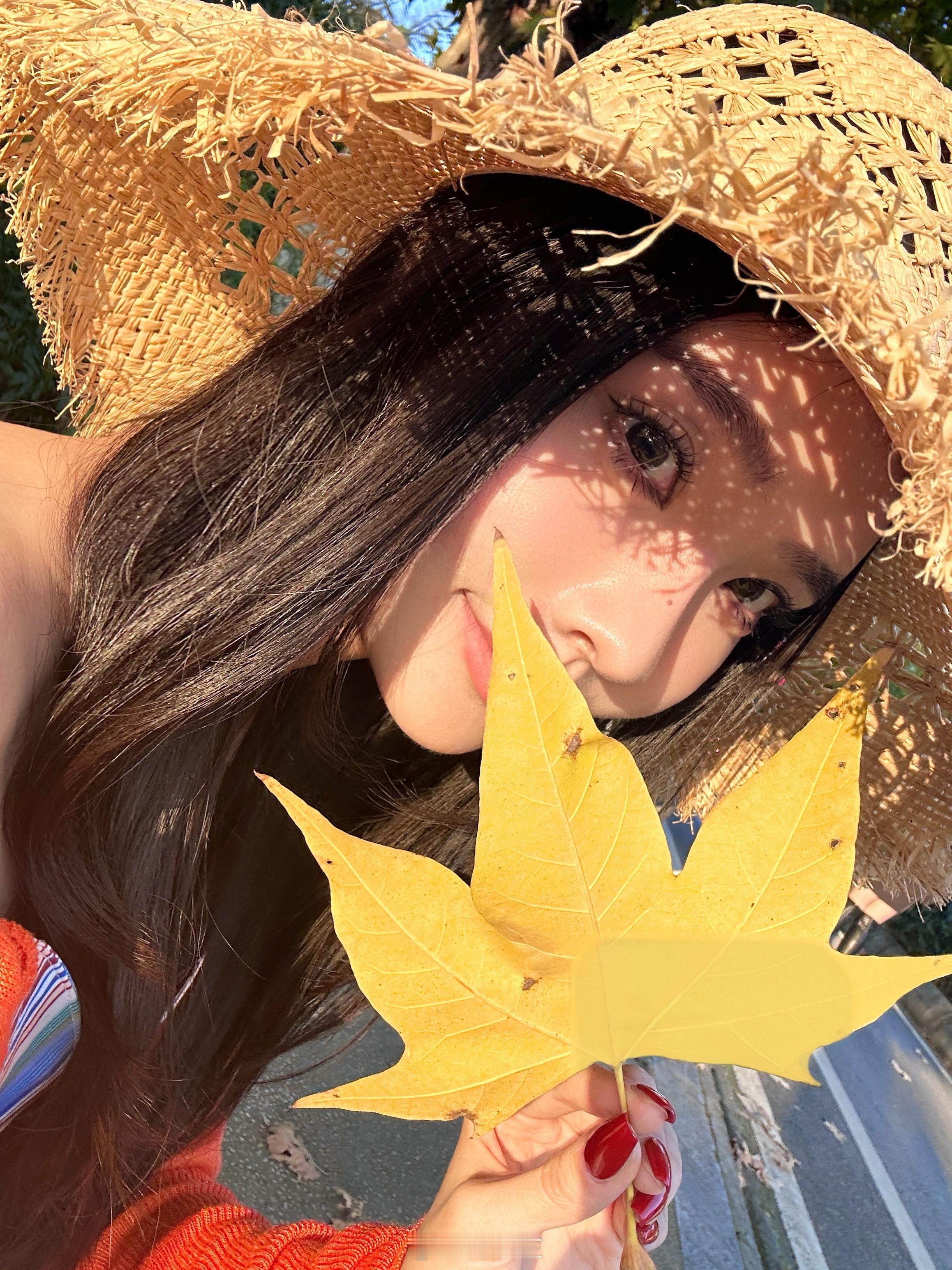 已经有落叶啦 期待十一月树叶全部变黄的季节🍁✨🍂 ​​​