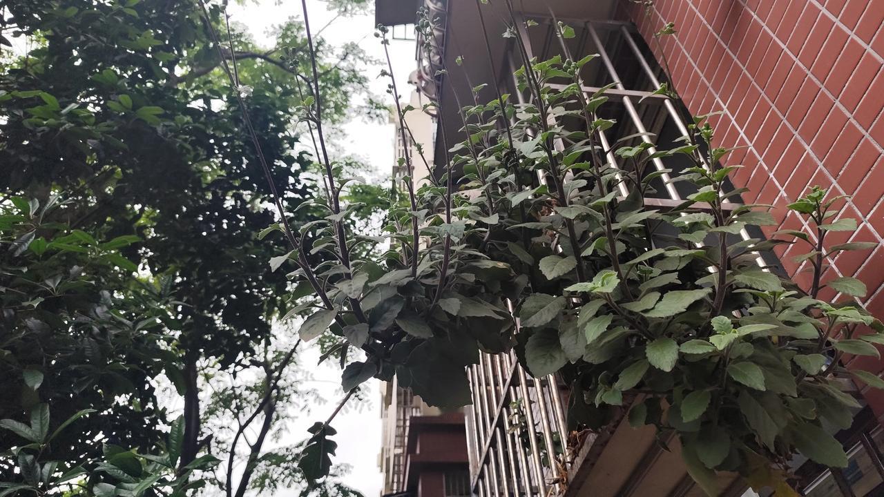 今年春天最想实现的心愿过好自己的每一天就好！分享自然风景照片