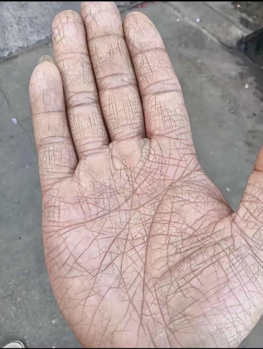 网友：有懂手相的吗，看看这是啥命？ 