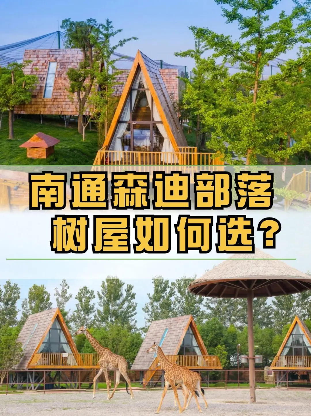 南通森迪部落，住树屋+双园门票+喂动物！