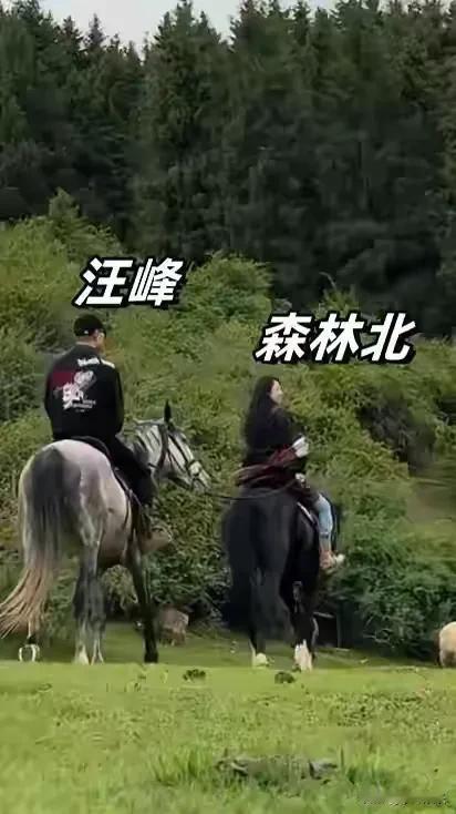 怪不得汪峰喜欢森林北，因为她骑马骑的特别好，一个策马奔腾的女子，谁人不爱，换成了