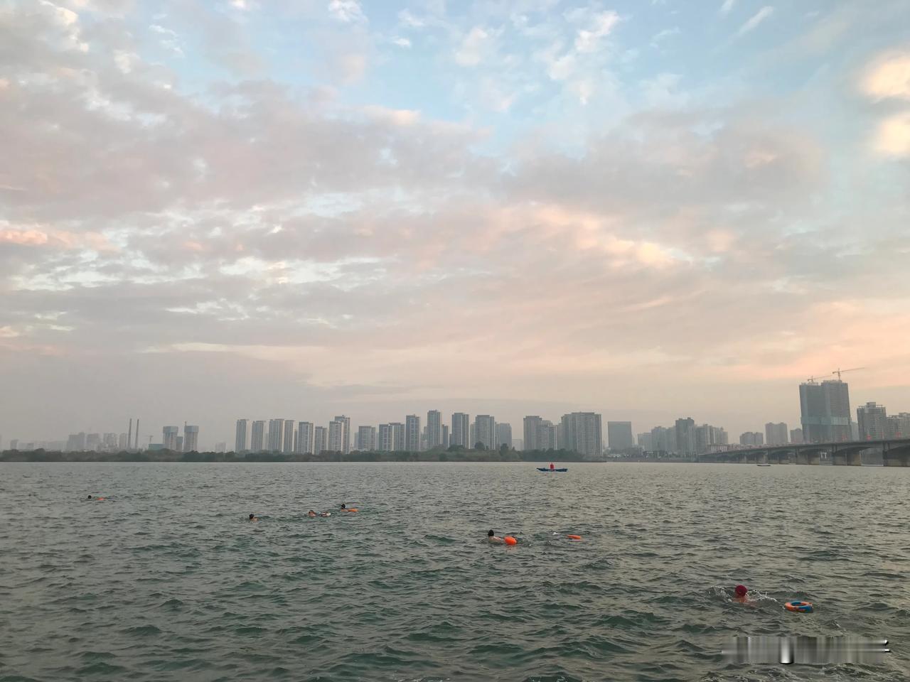 #记录秋日生活点滴# 今晨天气晴好，进行2024年第188次游泳🏊‍♀️，汉江