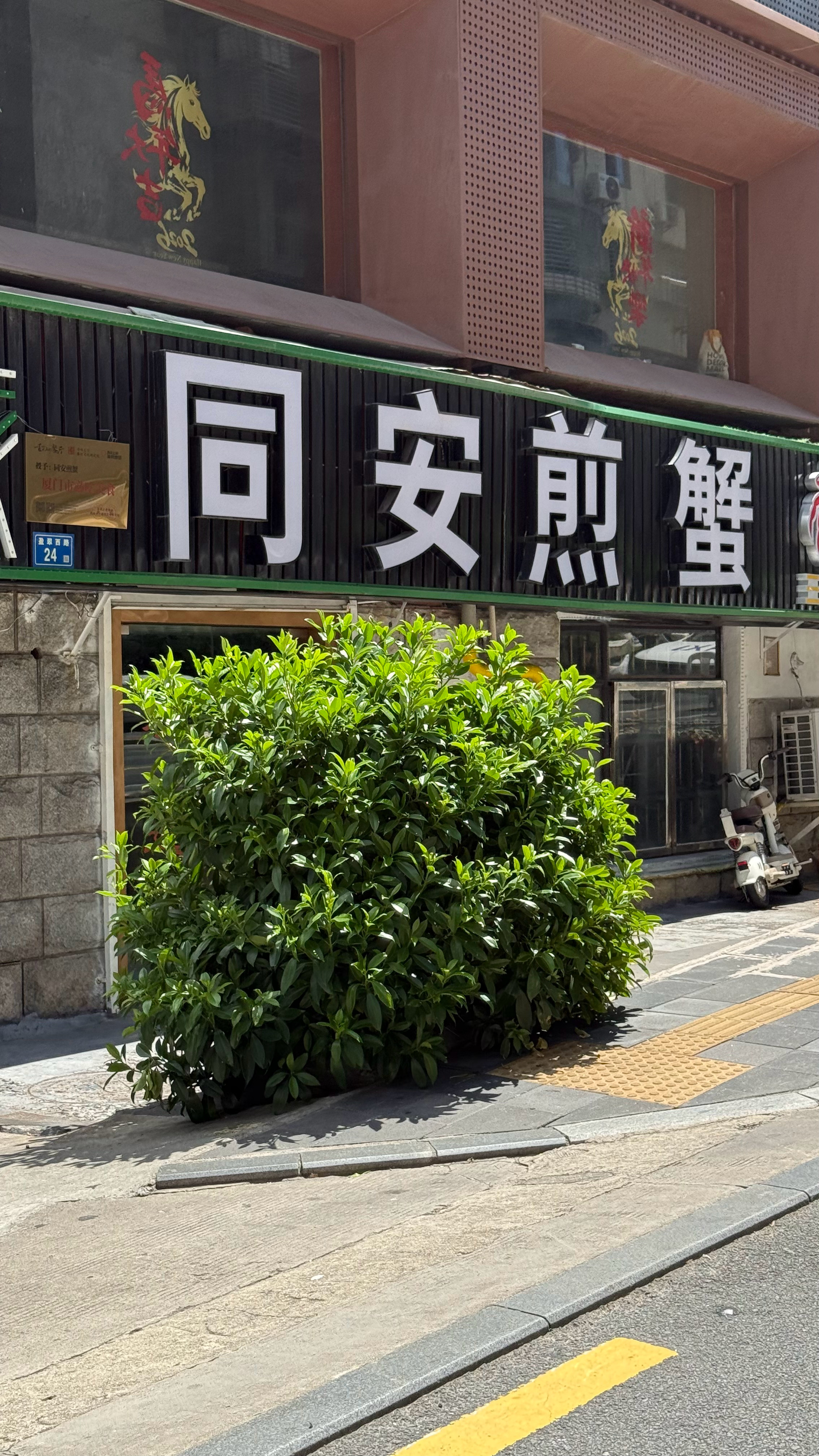 我要来厦门试试真宗的煎蟹快乐的出差，我爱工作，我爱吃好吃的 ​​​