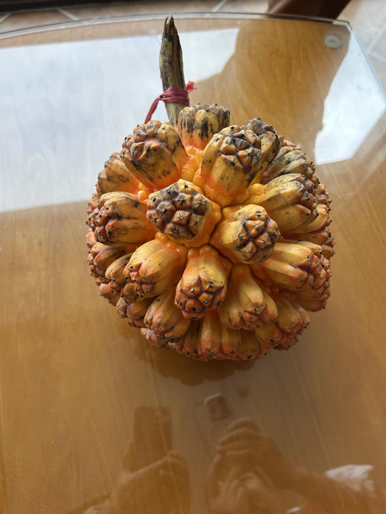 今天来到陵水，途中路过公路边的一个水果集市，全是海南本地的热带水果。两位女主人吆