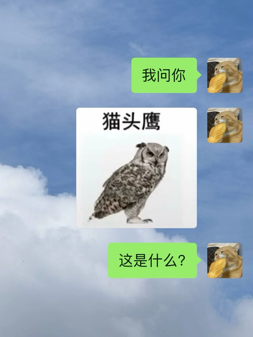 我看还有哪个小憨憨猜不对