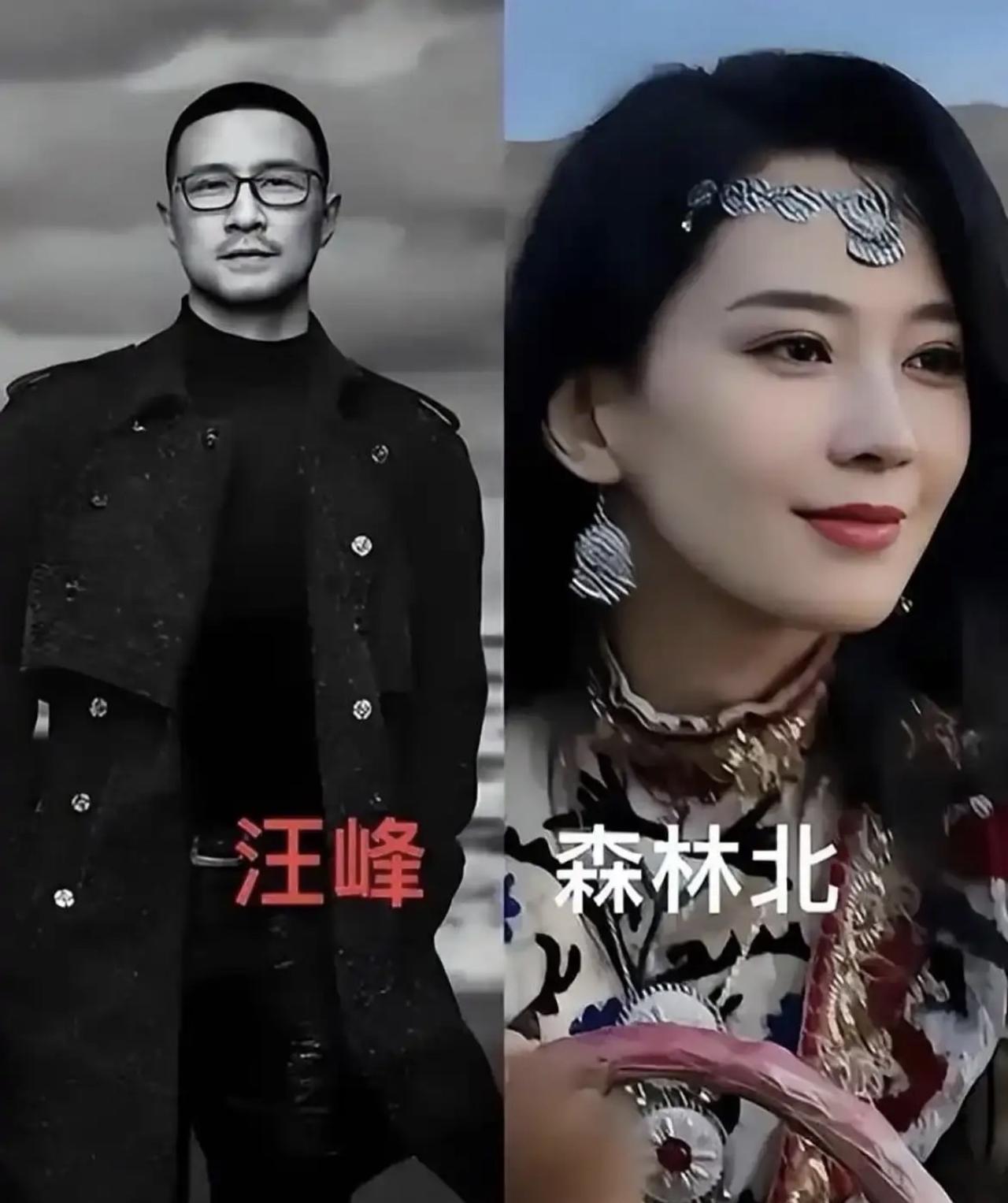 说实在的，森林北落到如今这个局面，真不能只归咎于遇人不淑。

本身她在文旅行业已