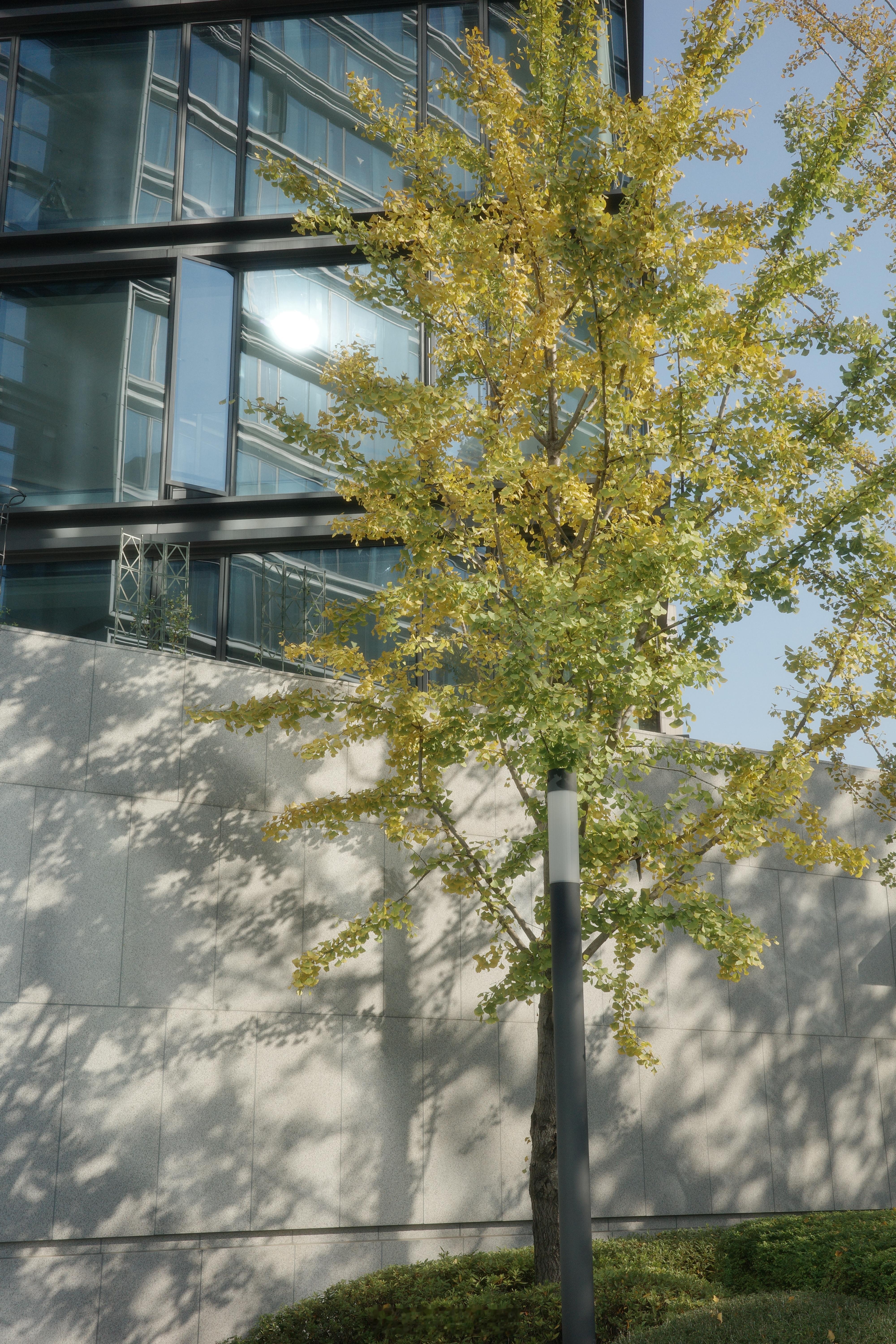 宜人的秋日🍂明天就要降温啦！吃了鲜掉眉毛的土家菜，看了一场西湖的日落🌄 