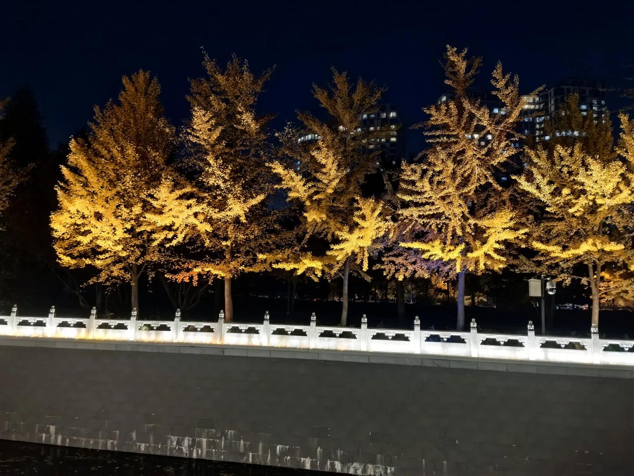 #上联：落叶不知秋已去；
诚邀下联#霜尽才知北风寒