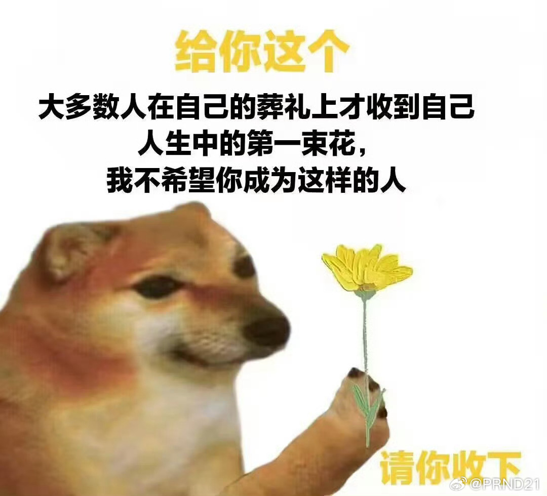 感觉自己在咖啡方面是很糙的，每次好朋友和我说这杯用了什么稀少的咖啡豆、用了什么奇