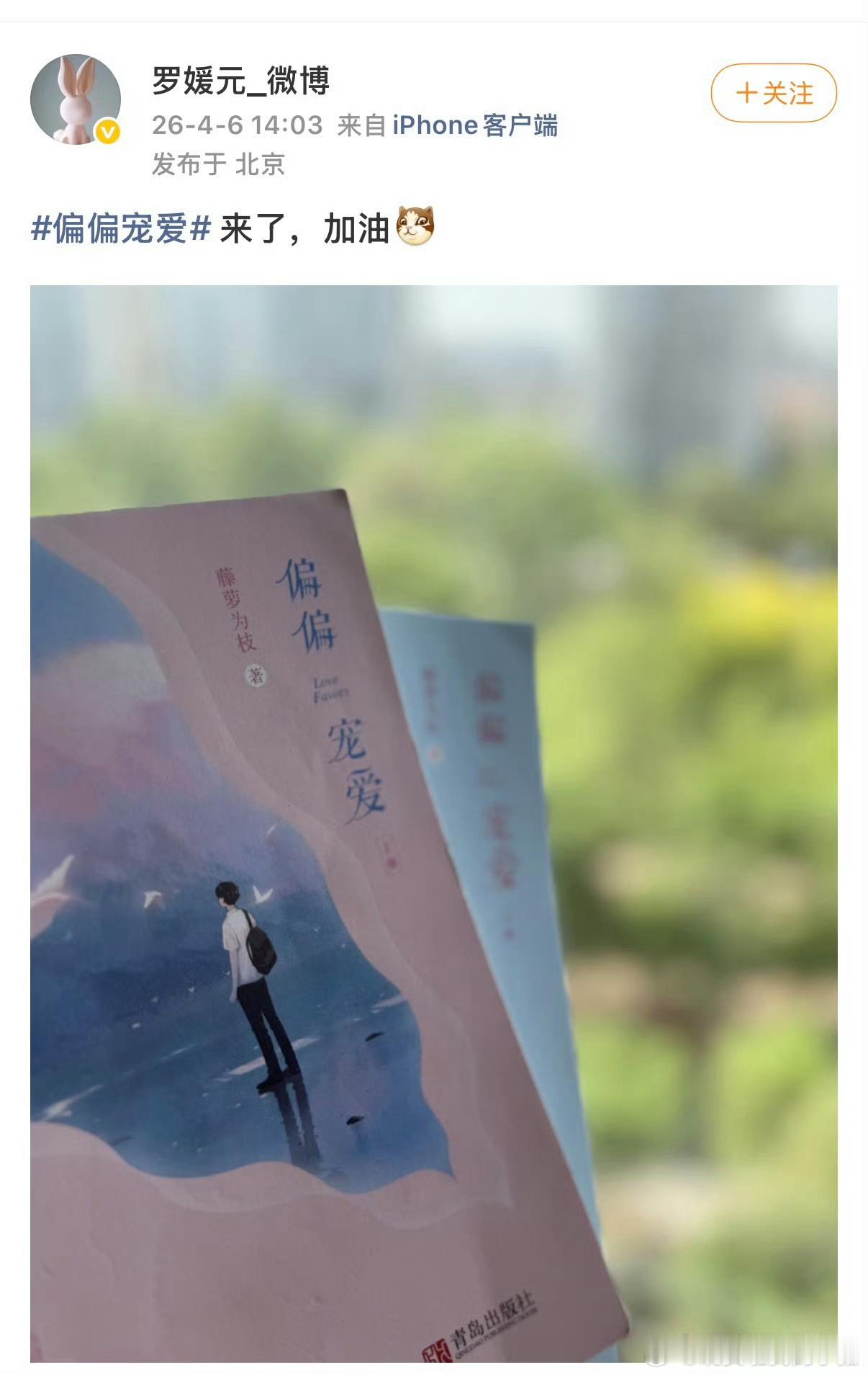 陈飞宇和艾米真的要合作偏偏宠爱了