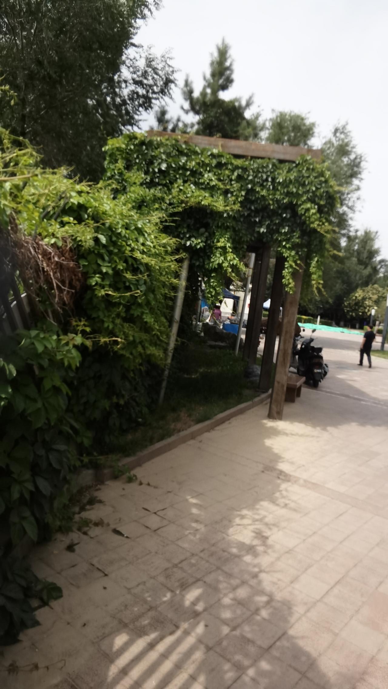 年年如意。求下联。月月顺心。