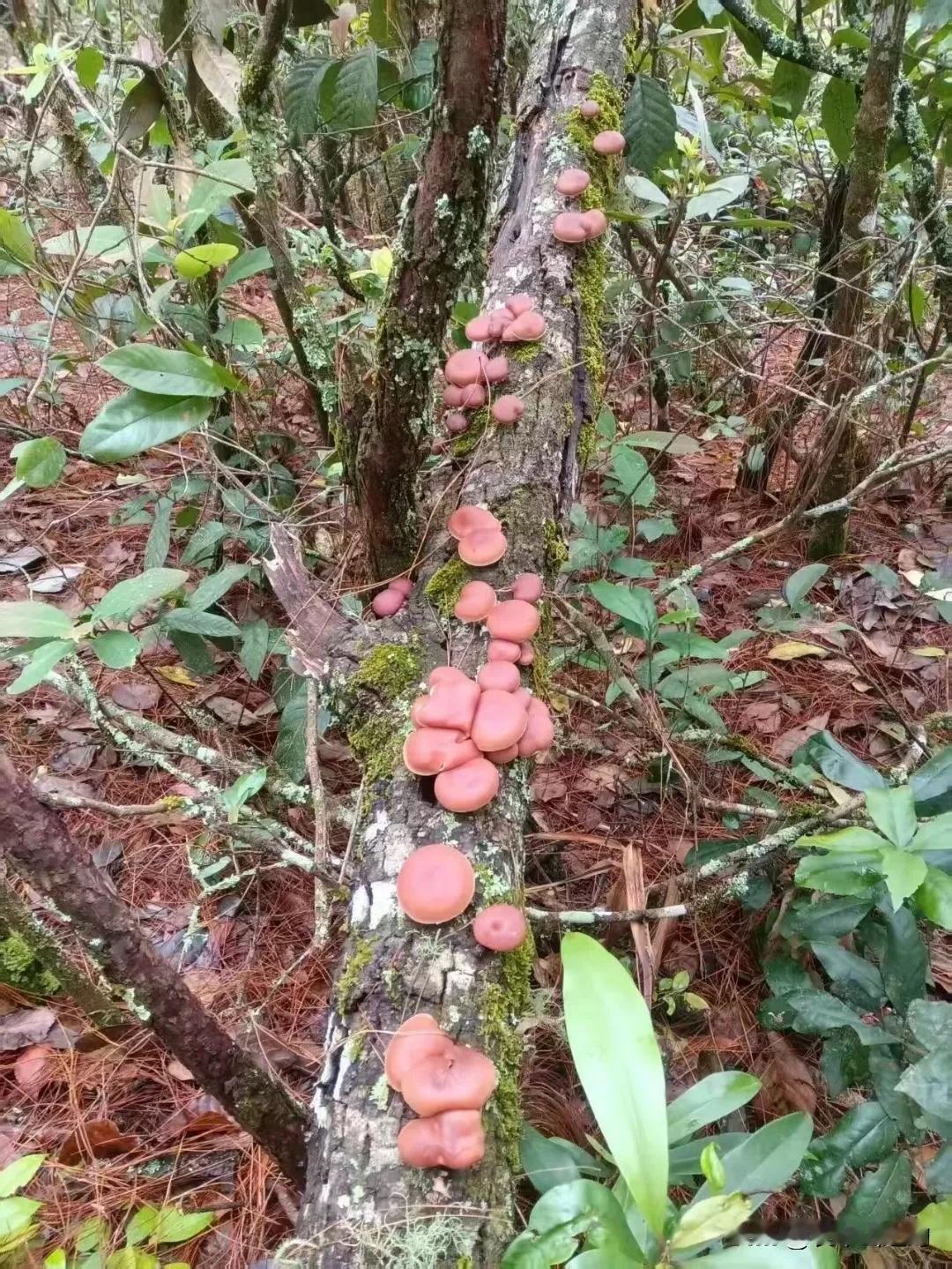 人生困局中最可怕的，从来不是困境本身，而是内心先放弃了反抗，主动接受了“无力改变