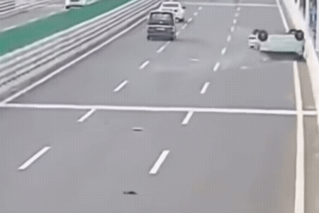 自己的体格，几斤几两不知道吗，还敢在高速上玩"鹰"，它可是一般的犟，是真犟呀！