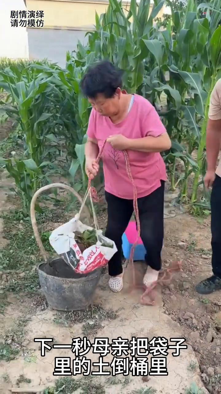 儿子挖坑铲土往袋子里装，谁知下一秒母亲把土在倒桶里。
母子两个在地里干活，只见儿