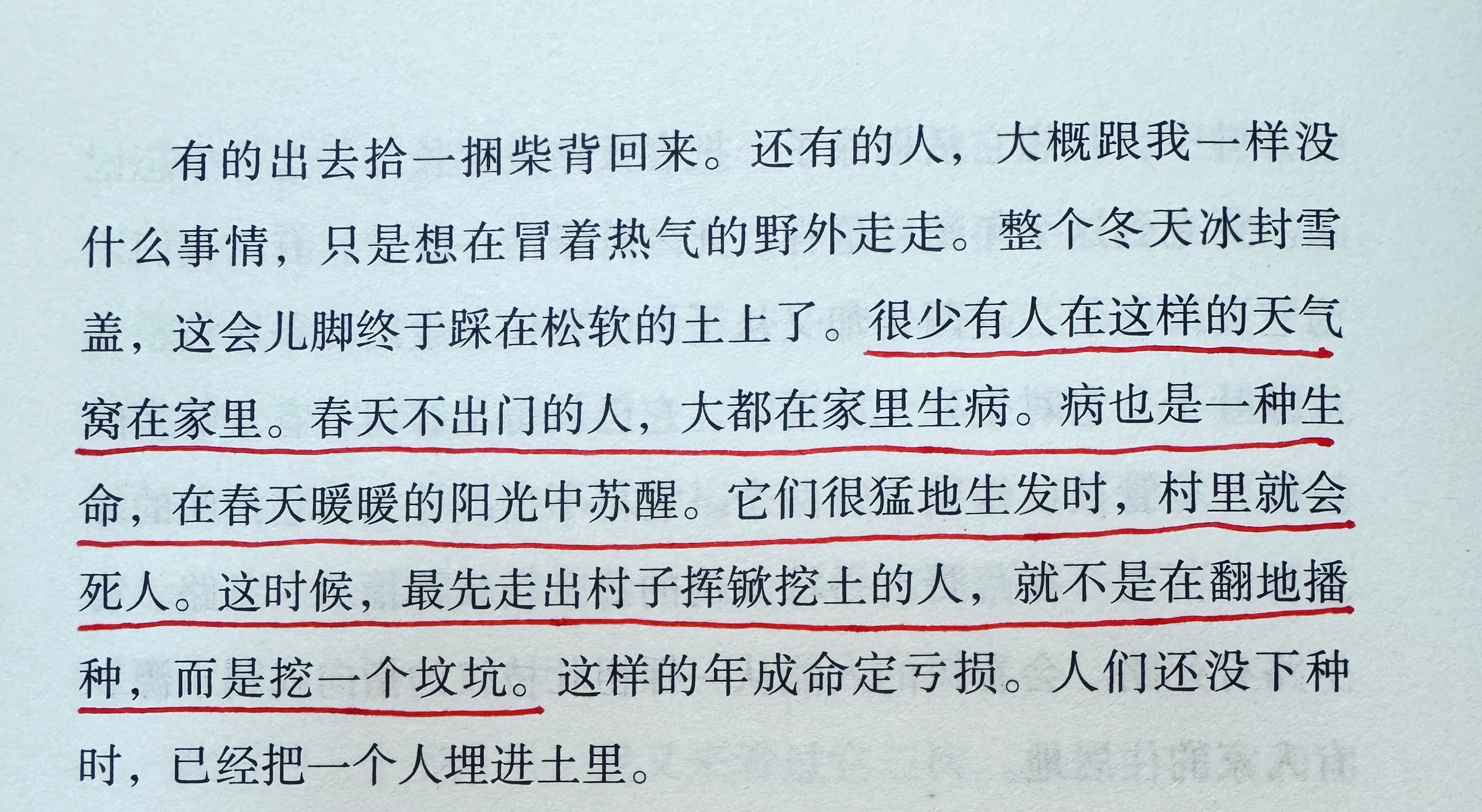 “很少有人在这样的天气窝在家里。春天不出门的人，大都在家里生病。病也是一种生命，