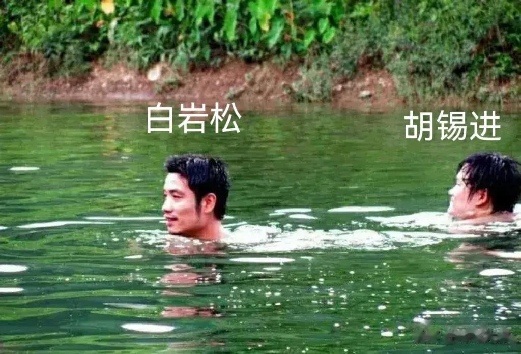 如果“胡锡进”和“白岩松”同时掉水里了，你会先救哪个？[泪奔]

      