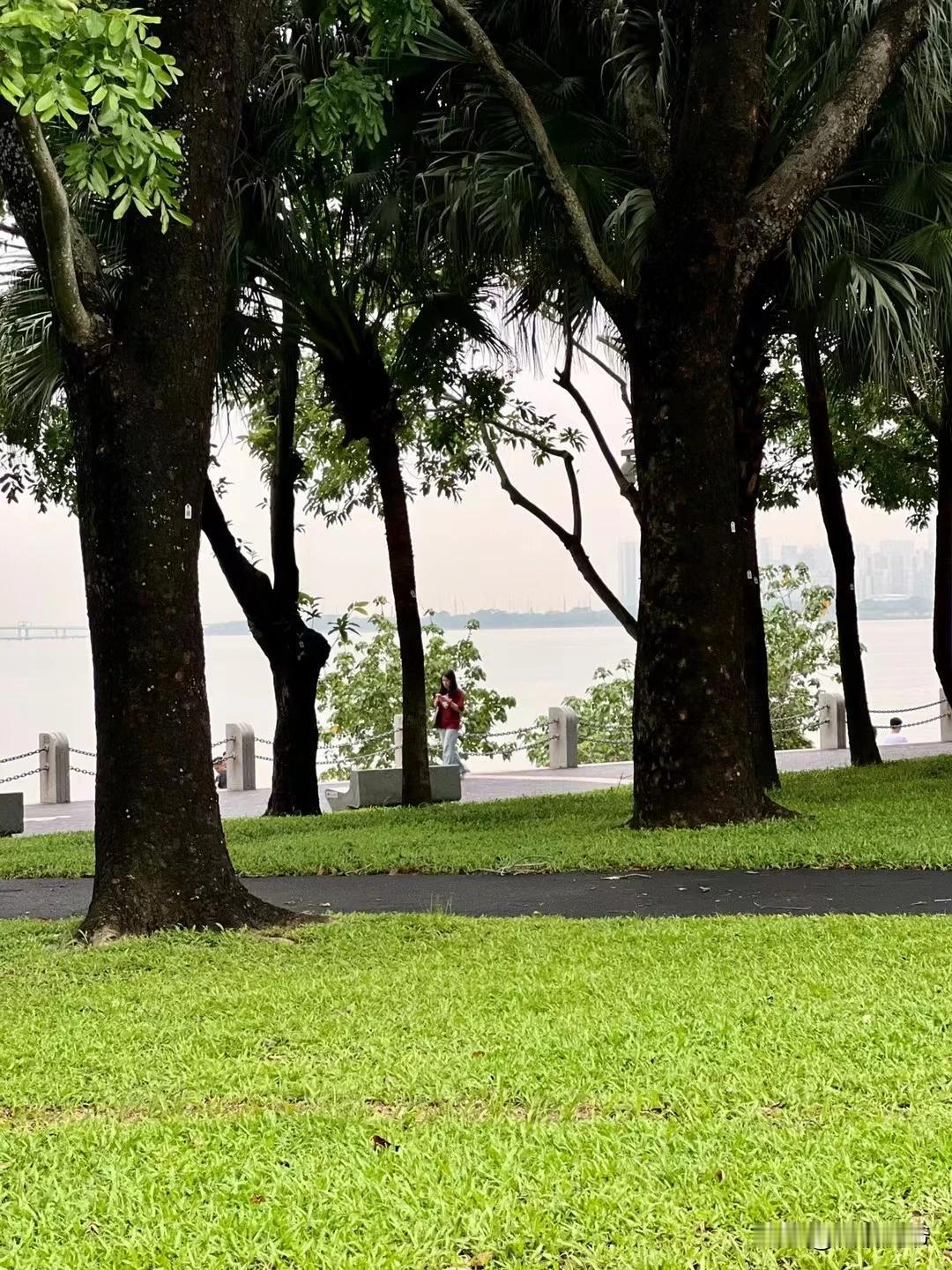 最近，深圳虽然暴风雨频频来袭，但是暴雨过后的美景，还是非常令人赏心悦目的。滨海城