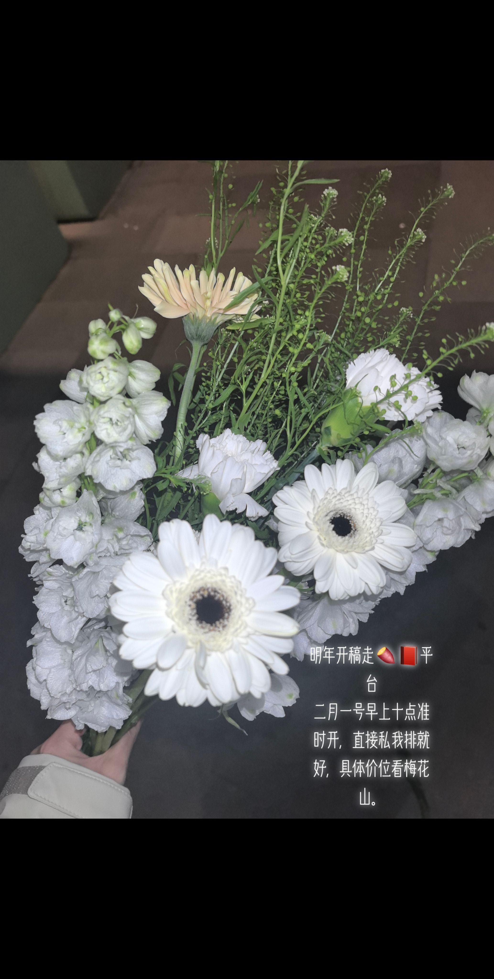 稿则。常稿纯看手速，不挑设，价格是我看设定给大家在区间内定价，能接受我...