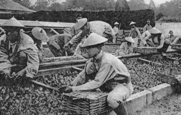 追求国家间的极度亲密关系然后被反噬、自己付出了血本最后成为冤大头这种事情，历史上