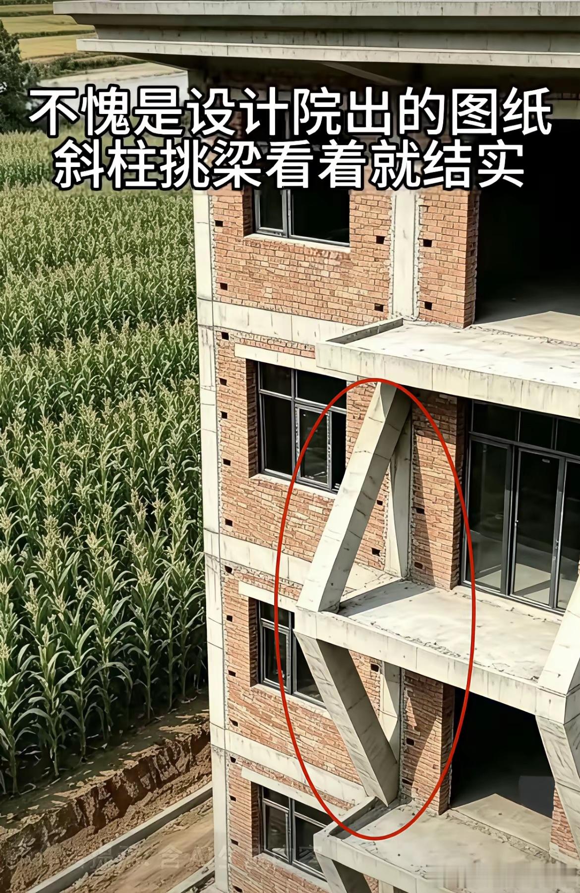 分享图片 