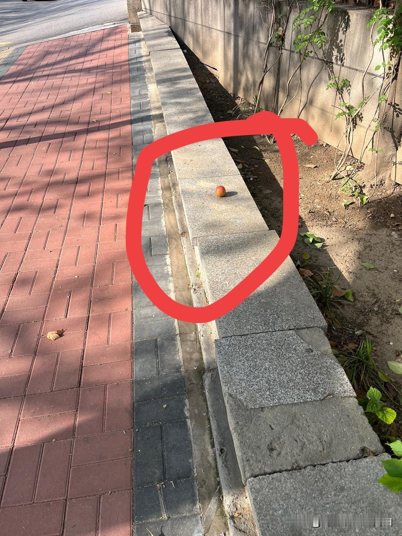 路不拾遗！
昨天下午，我又一次去买汉堡了。
这次是给第二天开学回学校的儿子买的。