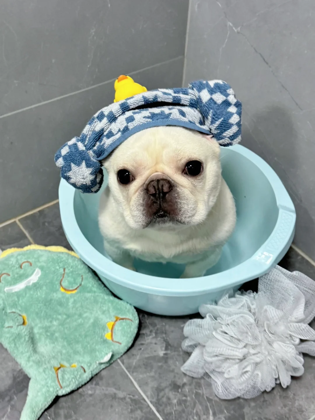 有人能帮我搓一下背吗🛀🏻