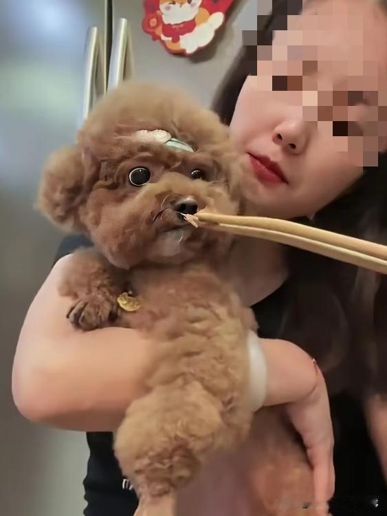 看到这两张图片简直无语了，我不知说什么好。
这名女子对待狗狗太好了，边吃边喂，你
