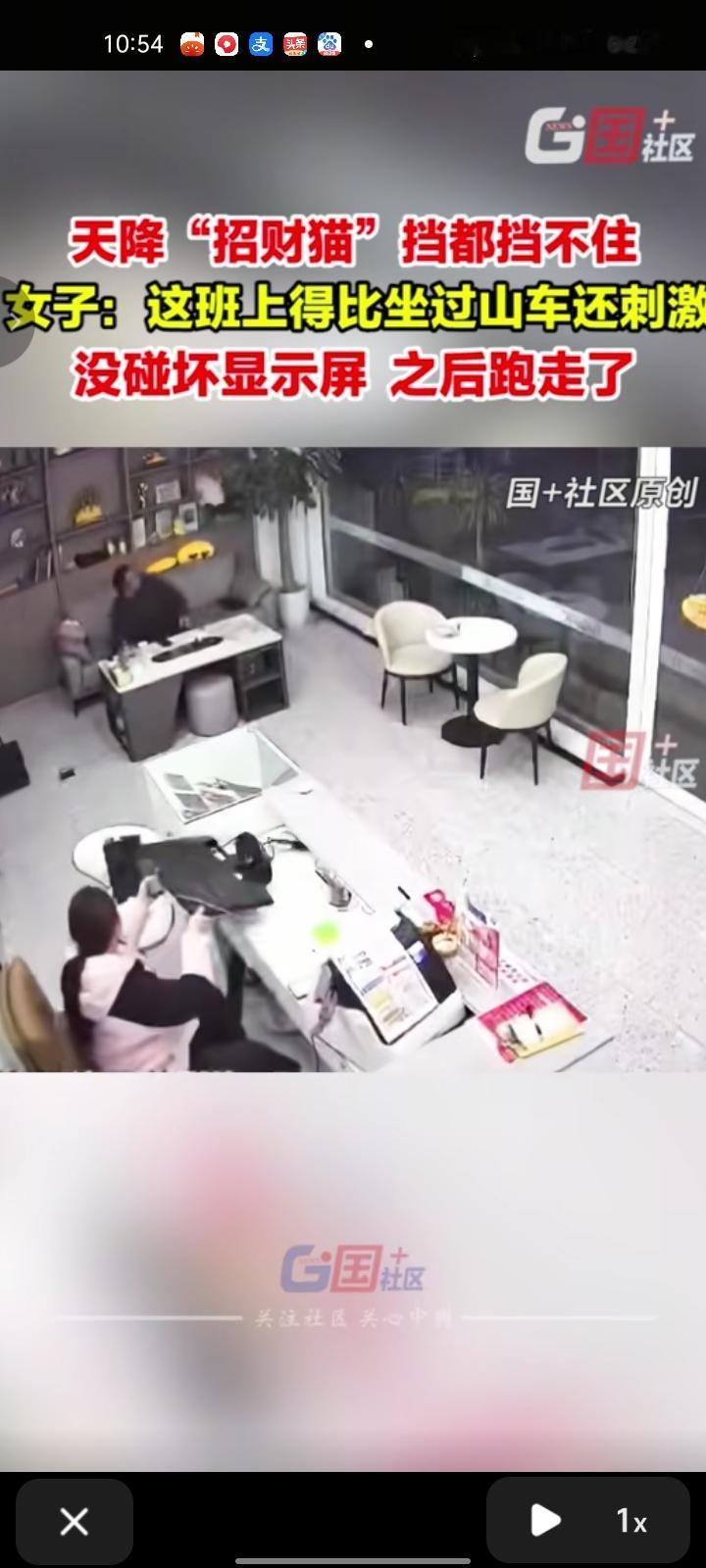 11月19日，湖北宜昌。女子工作时，猫咪毫无征兆的从天花板掉下来，桌上的键盘的电