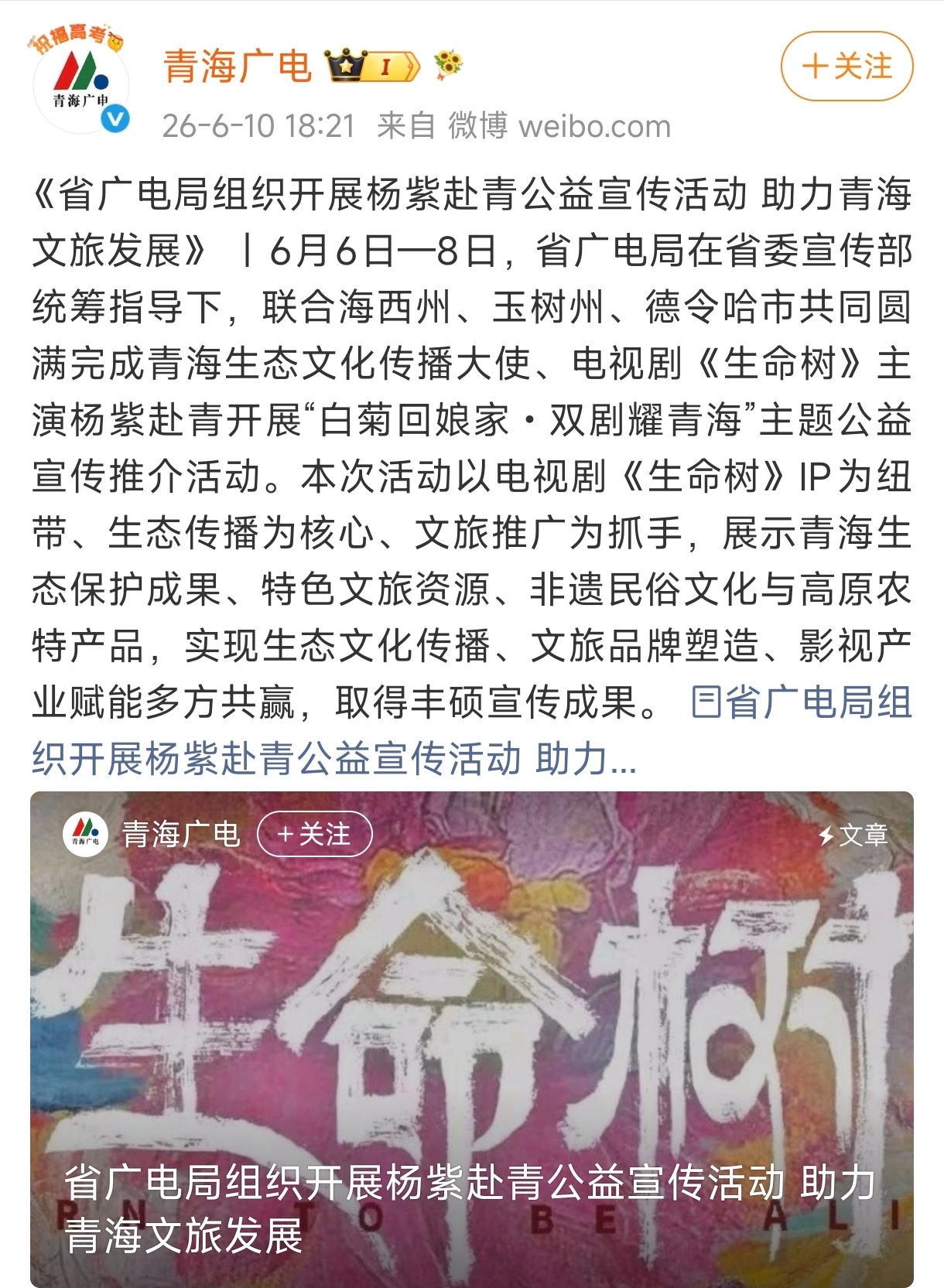 青海有生命树真好，生命树有杨紫真好