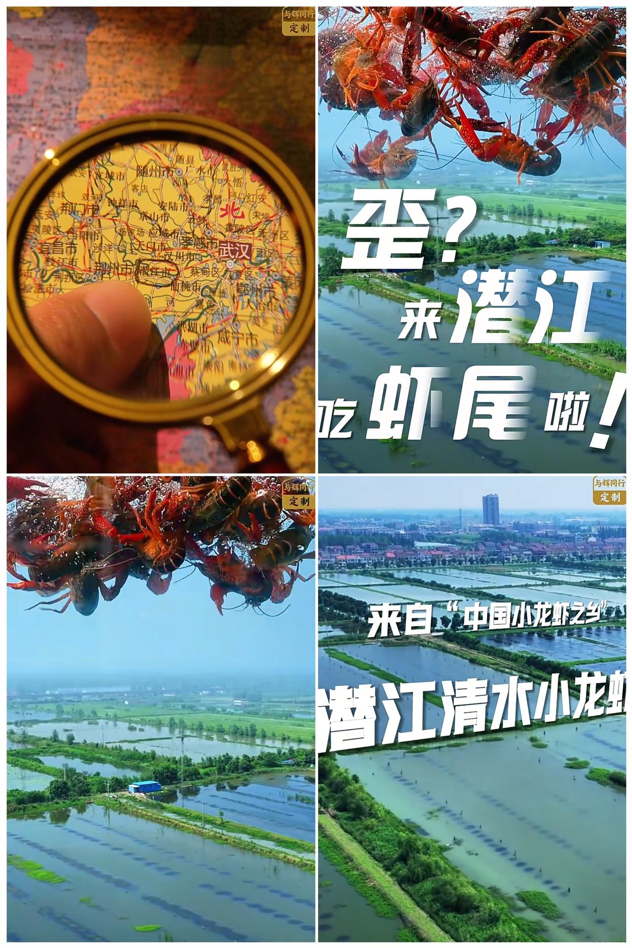 与辉同行定制单冻🦐虾尾，
今日首发上线，这个夏天，安心开吃！